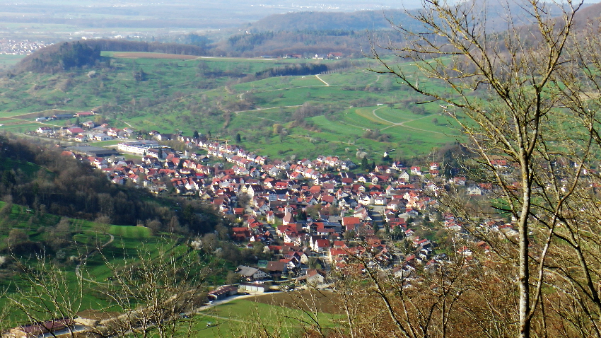 S1950025_1 S1950025_1