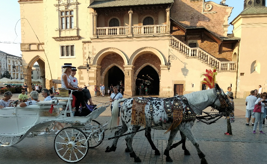 IMG_20180817_180432005_BURST007_1